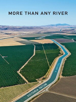 cover image of More Than Any River